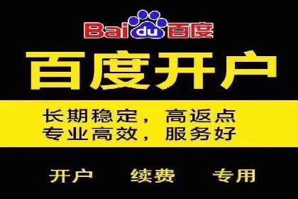 专业SEM推广托管，案例见证效果